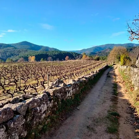 Authentic Stone Mas Retreat Les Assions